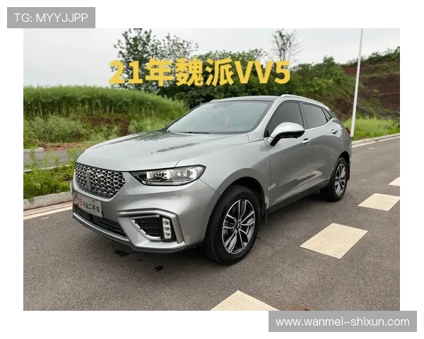 VV5直播视频精彩回顾：全程高能瞬间不容错过